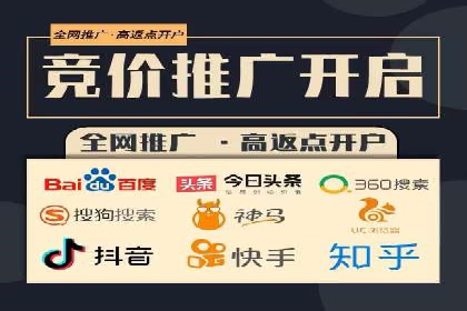 百度竞价推广运营策略：成功案例解析